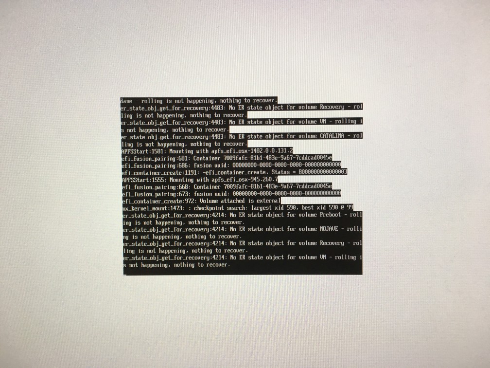 Black background with text on boot before Apple logo